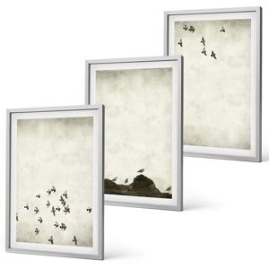 Coloray Ready To Hang Framed Pictures Home Birds In Flight Minimalist Style Silver Frame Coloray Ready To Hang Framed Pictures Home Birds In Flight Minimalist Style Silver Frame
