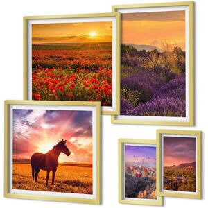 Coloray Framed Pictures Modern Interiors Landscapes Of Nature Horses Flowers Gold Frame Coloray Framed Pictures Modern Interiors Landscapes Of Nature Horses Flowers Gold Frame