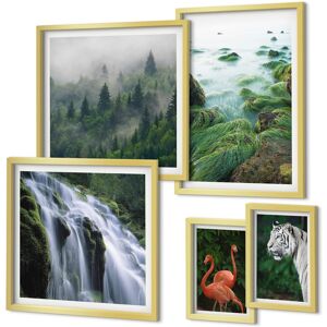 Coloray Stylish Wall Art Set Living Room Walls Nature Wild Animals Landscapes Gold Frame Coloray Stylish Wall Art Set Living Room Walls Nature Wild Animals Landscapes Gold Frame