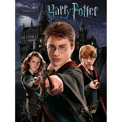 Harry Potter - Canvas Print - 60 X 80 X 4cm - Wall Art Harry Potter - Canvas Print - 60 X 80 X 4cm - Wall Art