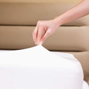 Family Bedding Single Bed Sheets - Deep Fitted Single Sheet - Soft Jersey 100% Family Bedding Single Bed Sheets - Deep Fitted Single Sheet - Soft Jersey 100%
