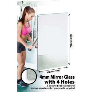 Large Mirror Safety Glass 4 Holes & Polished Edges 4mm 2ft6 X 1ft8 76cm X 51cm Large Mirror Safety Glass 4 Holes & Polished Edges 4mm 2ft6 X 1ft8 76cm X 51cm