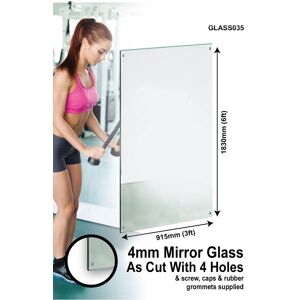 Large Mirror Wall Safety Backed 6ft X 3ft 183 X 91cm Glass With 4 Holes Home Gym Large Mirror Wall Safety Backed 6ft X 3ft 183 X 91cm Glass With 4 Holes Home Gym