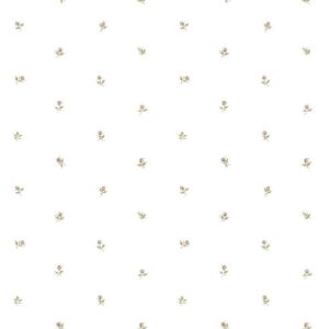 Cg28872 - Rose Garden Mini Rose Print White Galerie Wallpaper Cg28872 - Rose Garden Mini Rose Print White Galerie Wallpaper