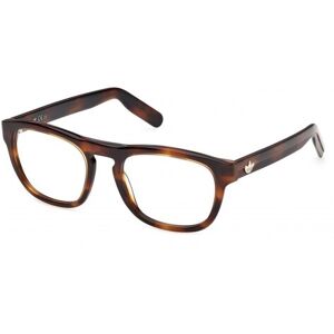 adidas Originals Or5155 Dark Havana 53/20/145 Man Eyewear Frame adidas Originals Or5155 Dark Havana 53/20/145 Man Eyewear Frame