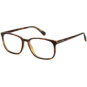 Polaroid Pld D488 086 Havana 56/17/145 Man Eyewear Frame Polaroid Pld D488 086 Havana 56/17/145 Man Eyewear Frame