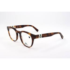 Lacoste L2904 240 Havana 49/20/145 Unisex Eyewear Frame Lacoste L2904 240 Havana 49/20/145 Unisex Eyewear Frame