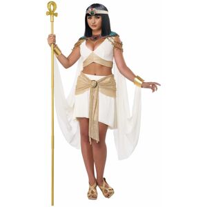 California Costume Collections Queen Cleopatra Egyptian Ancient Egypt Nile White Gold Adult Womens Costume California Costume Collections Queen Cleopatra Egyptian Ancient Egypt Nile White Gold Adult Womens Costume