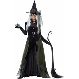 California Costume Collections Gothic Witch Wicked Wizardess Sorceress Enchantress Halloween Womens Costume California Costume Collections Gothic Witch Wicked Wizardess Sorceress Enchantress Halloween Womens Costume