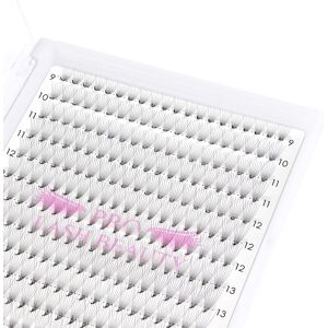 Branded Premade Fans Eyelash Extensions 14d-C-0.05-9-16 Premade Volume Lash Extensions 3 Branded Premade Fans Eyelash Extensions 14d-C-0.05-9-16 Premade Volume Lash Extensions 3
