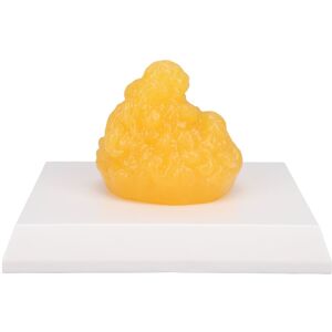 Human Body Fat Replica Human Fatty Tissue Demonstration Model Weight Reductio ' Human Body Fat Replica Human Fatty Tissue Demonstration Model Weight Reductio '