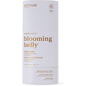 attitude Attitude Body Butter Bar For Pregnant Dry And Stretched Skin, Ewg Verified, Pla attitude Attitude Body Butter Bar For Pregnant Dry And Stretched Skin, Ewg Verified, Pla