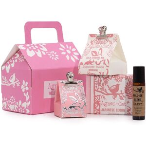 Aw-Dropship Agnes & Cat Wellness Gift Set - Bloom & Bliss Aw-Dropship Agnes & Cat Wellness Gift Set - Bloom & Bliss