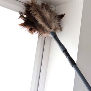 2 X Home Valet Ozzy Ostrich Feather Duster Extendable & Removable Head Hvoofdx2 2 X Home Valet Ozzy Ostrich Feather Duster Extendable & Removable Head Hvoofdx2