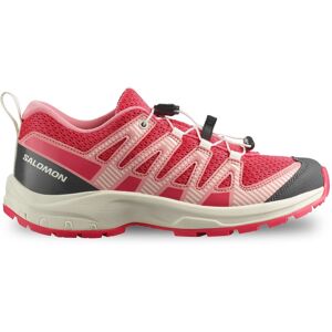 Shoes Salomon Xa Pro V8 J Size 5 Uk Code 479606 -9b Shoes Salomon Xa Pro V8 J Size 5 Uk Code 479606 -9b