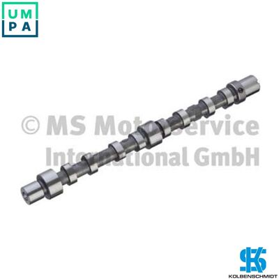 Kolbenschmidt 50007031 Camshaft - Intake Side Kolbenschmidt 50007031 Camshaft - Intake Side
