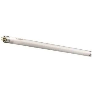 Leuci S.P.A. Leuci 416041.0101 T8 Tri-Star 18w G13 Tr830 3000k Leuci S.P.A. Leuci 416041.0101 T8 Tri-Star 18w G13 Tr830 3000k