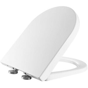 Rak Ceramics Rak Resort Mini Soft Close Wc Toilet Seat Quick Release Rak Ceramics Rak Resort Mini Soft Close Wc Toilet Seat Quick Release