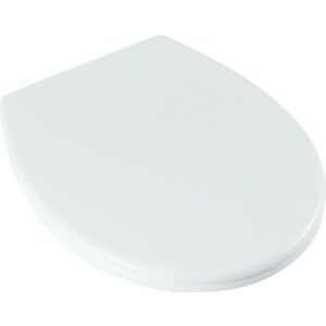 Blue Canyon Plastic Soft Close Toilet Seatone Size White St9613 Blue Canyon Plastic Soft Close Toilet Seatone Size White St9613