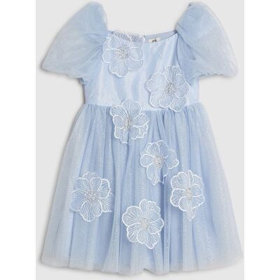 River Island Girls Dress Blue Puff Sleeve Floral Embroidery Tulle Skirt Zip River Island Girls Dress Blue Puff Sleeve Floral Embroidery Tulle Skirt Zip