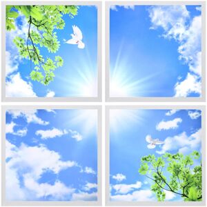 Panel Hut Blue Sky Led Ceiling Recessed Panel 600 X 600 Sun Birds Cloud 4 Set Sky03 Panel Hut Blue Sky Led Ceiling Recessed Panel 600 X 600 Sun Birds Cloud 4 Set Sky03