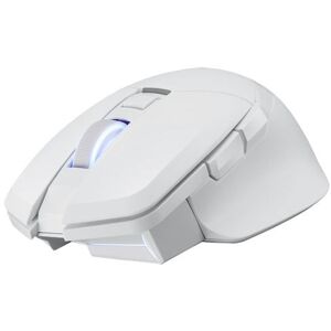 PowerColor Alphyn Am10 Gaming Mouse, White, Right-Handed, Paw3395 Sensor, Omron PowerColor Alphyn Am10 Gaming Mouse, White, Right-Handed, Paw3395 Sensor, Omron