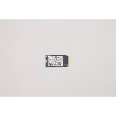 Lenovo 256GB M.2 PCIe NVMe SSD - SSD Lenovo 256GB M.2 PCIe NVMe SSD - SSD