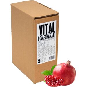 Pressuice - Fresh Vital Pure Pomegranate Juice Not From Concentrate - 1 Carton Pressuice - Fresh Vital Pure Pomegranate Juice Not From Concentrate - 1 Carton