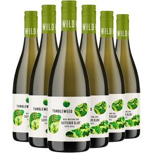 Bruce Jack Wines Tumbleweed Sauvignon Blanc 75cl X 6 12.5% Abv South Africa Bruce Jack Wines Tumbleweed Sauvignon Blanc 75cl X 6 12.5% Abv South Africa