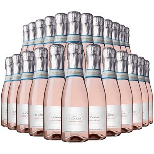 Il Caggio Prosecco Rosé 24 X 20cl Italian Sparkling Wine 11.5% Abv Mini Bottle Il Caggio Prosecco Rosé 24 X 20cl Italian Sparkling Wine 11.5% Abv Mini Bottle