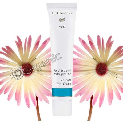 Dr. Hauschka Med Mittagsblume Facial Cream - Very Dry Skin Dr. Hauschka Med Mittagsblume Facial Cream - Very Dry Skin