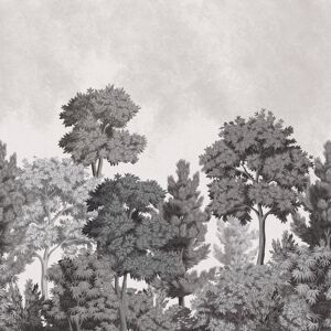Mn50945_ashdown Grey, White Delicate Sketched Trees Fine Decor Wallpaper Mn50945_ashdown Grey, White Delicate Sketched Trees Fine Decor Wallpaper