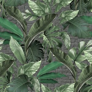Marburg Leaves Tropical Jungle Wallpaper - Wallpaper Marburg Leaves Tropical Jungle Wallpaper - Wallpaper