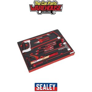 Sealey Tbtp06eu Premier Platinum Hacksaw Hammers & Punch Kit With Tool Tray 13pc Sealey Tbtp06eu Premier Platinum Hacksaw Hammers & Punch Kit With Tool Tray 13pc