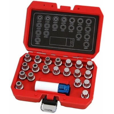 Neilsen - CT4226 - BMW Locking Wheel Nut Socket - Tool Set Neilsen - CT4226 - BMW Locking Wheel Nut Socket - Tool Set