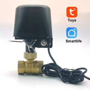 Does Not Apply Wifi Smart Water Stop Check Valve Auto Control Timer Work With Alexa Google Home Does Not Apply Wifi Smart Water Stop Check Valve Auto Control Timer Work With Alexa Google Home