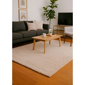 Aspect Cosy Plush Modern,Thick,Soft Shaggy Rug, Beige,120x170cm-Rug230/170 Aspect Cosy Plush Modern,Thick,Soft Shaggy Rug, Beige,120x170cm-Rug230/170