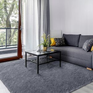 Soanny Living Room Area Rug, Grey Small Soft Fluffy Shaggy Solid Carpet For Bedroom Do Soanny Living Room Area Rug, Grey Small Soft Fluffy Shaggy Solid Carpet For Bedroom Do