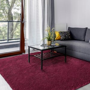 Soanny Living Room Area Rug, Burgundy Luxury Soft Fluffy Shaggy Carpet For Bedroom Dor Soanny Living Room Area Rug, Burgundy Luxury Soft Fluffy Shaggy Carpet For Bedroom Dor