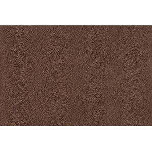 Turtle Mat - Dirt Trapper - Mocha - Multi-Grip - 100x75cm Turtle Mat - Dirt Trapper - Mocha - Multi-Grip - 100x75cm