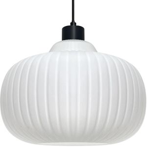 Long Life Lamp Company Oval Globe Ceiling Pendant Light Ribbed Opal Glass Lamp Shade Hanging Light K416 Long Life Lamp Company Oval Globe Ceiling Pendant Light Ribbed Opal Glass Lamp Shade Hanging Light K416