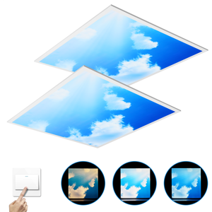 Gowtall 2 X 90w Sky Cloud Pattern Led Flat Slim Panel Light Ceiling Lamp 600x600 Mm + Dr Gowtall 2 X 90w Sky Cloud Pattern Led Flat Slim Panel Light Ceiling Lamp 600x600 Mm + Dr