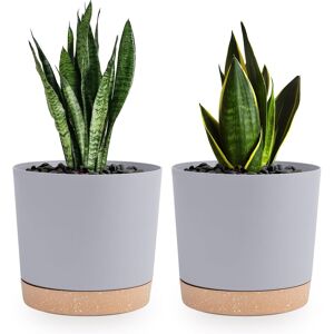 Qcqhdu 16.5cm Plant Pot, 2 Pack Planters For Indoor Plants With Drainage Holes Qcqhdu 16.5cm Plant Pot, 2 Pack Planters For Indoor Plants With Drainage Holes