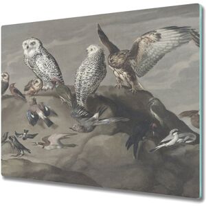 Coloray Glass Induction Ceramic Hob Cover Study Of Birds Vintage Painting 60x52 Coloray Glass Induction Ceramic Hob Cover Study Of Birds Vintage Painting 60x52