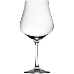 Utopia Tulipa Red Wine Glasses Champagne Drinks 23oz (65cl) Pack Of 6 Made In Europe Utopia Tulipa Red Wine Glasses Champagne Drinks 23oz (65cl) Pack Of 6 Made In Europe