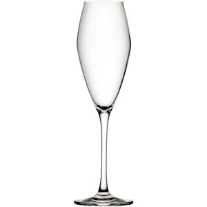 Utopia Seine Flute Champagne Wine Drinks Glasses 9.25oz (26cl) Pack Of 6 For Hotels Bar Utopia Seine Flute Champagne Wine Drinks Glasses 9.25oz (26cl) Pack Of 6 For Hotels Bar