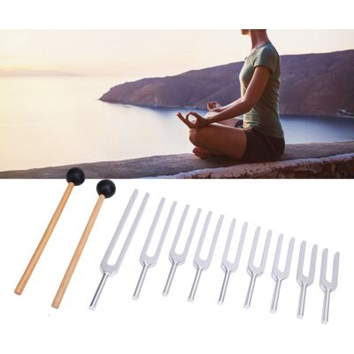 9pcs Tuning Fork Set Aluminum Alloy Sensory Tuning Forks For Healing 174hz 285 9pcs Tuning Fork Set Aluminum Alloy Sensory Tuning Forks For Healing 174hz 285