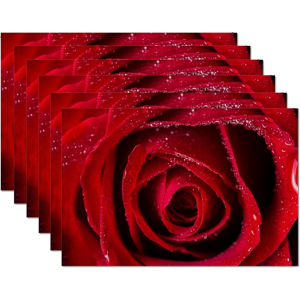 Does Not Apply Red Rose Romantic Placemats Set Of 6,Table Mats Non-Slip Heat Resistant Washable Does Not Apply Red Rose Romantic Placemats Set Of 6,Table Mats Non-Slip Heat Resistant Washable