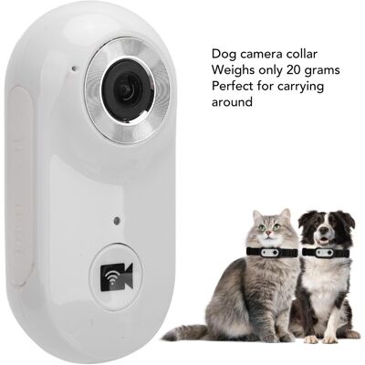 ˘ Pet Collar Camera With 8g Memory Card Hd 1080p Mini Cat Dog Video Record ˘ Pet Collar Camera With 8g Memory Card Hd 1080p Mini Cat Dog Video Record
