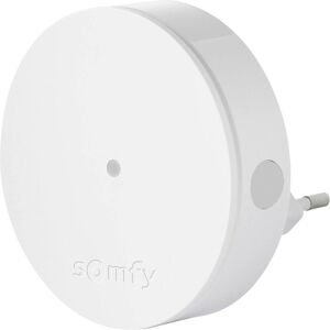 Somfy 2401495 Smart Home Radio Range Extender - Central Control Unit Accessory Somfy 2401495 Smart Home Radio Range Extender - Central Control Unit Accessory